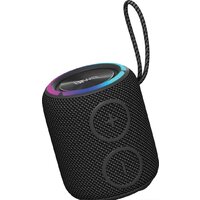 Беспроводная колонка Aiwa PAS-H100 (черный) - Превью изображения №2 — Интернет-магазин Time-Shop