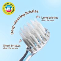 Электрическая зубная щетка Brush-Baby WildOnes Bear - Превью изображения №5 — Интернет-магазин Time-Shop