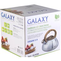 Чайник со свистком Galaxy Line GL9206 - Превью изображения №2 — Интернет-магазин Time-Shop