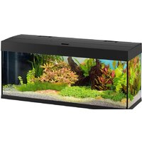 Ferplast Dubai 120 LED 240 л (черный)