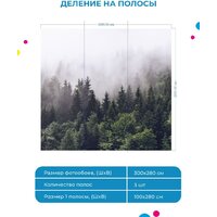 Фотообои ФабрикаФресок Туманный лес 193280 (300x280) - Превью изображения №4 — Интернет-магазин Time-Shop