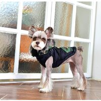 Жилетка для животных Puppia Orson PARD-VT1569-BK-L (черный) - Превью изображения №3 — Интернет-магазин Time-Shop
