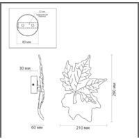 Бра Odeon Light Eva 4371/6WL - Превью изображения №6 — Интернет-магазин Time-Shop