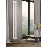 Стальной трубчатый радиатор Новатерм SL-DP12 2-D-18.09.9016 - Превью изображения №4 — Интернет-магазин Time-Shop