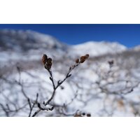 Объектив Sony FE 16-25mm F2.8 G - Превью изображения №19 — Интернет-магазин Time-Shop