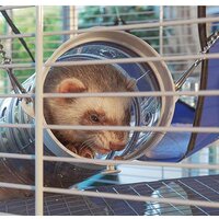 Клетка Ferplast Furet Tower 57063414 - Превью изображения №5 — Интернет-магазин Time-Shop