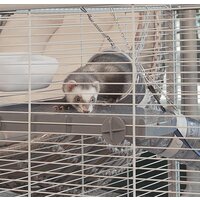 Клетка Ferplast Furet Tower 57063414 - Превью изображения №11 — Интернет-магазин Time-Shop