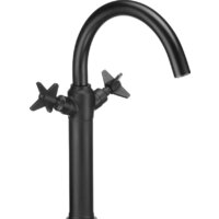 Deante Temisto Nero BQT N25D