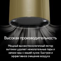 Кухонная вытяжка MAUNFELD Lee Side 397 (золотой) - Превью изображения №15 — Интернет-магазин Time-Shop