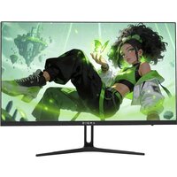 Игровой монитор Digma Overdrive 24P411F - Превью изображения №1 — Интернет-магазин Time-Shop