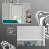 Рулонные шторы Franc Gardiner Blackout Silver 200x175 7794526 (белый) - Превью изображения №3 — Интернет-магазин Time-Shop