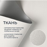 Рулонные шторы Franc Gardiner Blackout Silver 200x175 7794526 (белый) - Превью изображения №2 — Интернет-магазин Time-Shop