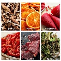 Сушилка для овощей и фруктов Kitfort KT-1917 - Превью изображения №7 — Интернет-магазин Time-Shop