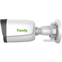 IP-камера Tiandy TC-C35WS I5/E/Y/M/2.8mm/V4.0 - Превью изображения №2 — Интернет-магазин Time-Shop