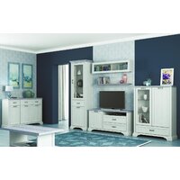 Тумба Anrex Monako RTV 1D2SN (сосна винтаж/дуб анкона) - Превью изображения №4 — Интернет-магазин Time-Shop