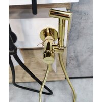 Гигиенический душ Whitecross SYSYBI2GL (золото) - Превью изображения №4 — Интернет-магазин Time-Shop