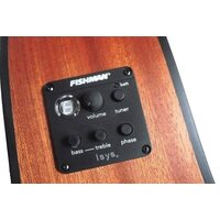 Электроакустическая гитара Randon RGI-01-CE - Превью изображения №3 — Интернет-магазин Time-Shop