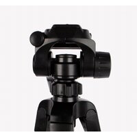 Трипод Evolution TM-3520E - Превью изображения №16 — Интернет-магазин Time-Shop