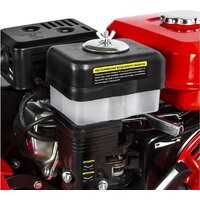 Мотокультиватор бензиновый DDE Мустанг - Превью изображения №10 — Интернет-магазин Time-Shop