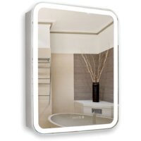 Silver Mirrors Шкаф с зеркалом Фиджи 50x75 LED-00002361