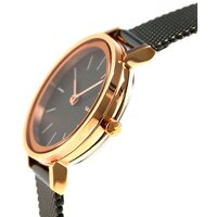 Наручные часы Skagen SKW2492 - Превью изображения №3 — Интернет-магазин Time-Shop