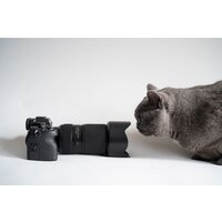 Объектив Tamron 50-300mm F/4.5-6.3 Di III VC VXD - Превью изображения №15 — Интернет-магазин Time-Shop