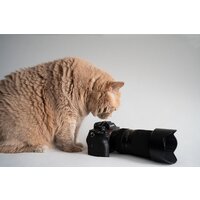 Объектив Tamron 50-300mm F/4.5-6.3 Di III VC VXD - Превью изображения №16 — Интернет-магазин Time-Shop