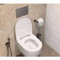 Держатель для туалетной бумаги Allen Brau Priority 6.31007-MG 323765 - Превью изображения №5 — Интернет-магазин Time-Shop