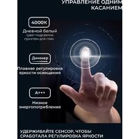 Зеркало EMZE Led с подсветкой и УФ-окантовкой 50x100 LED.UV.ARC.50.100.AUR (золото) - Превью изображения №6 — Интернет-магазин Time-Shop