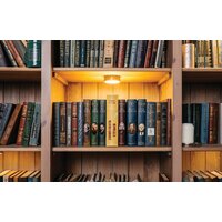Сейф-книга BRAUBERG 12 стульев - Превью изображения №9 — Интернет-магазин Time-Shop