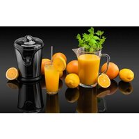 Соковыжималка Goetze & Jensen CJ500X - Превью изображения №4 — Интернет-магазин Time-Shop