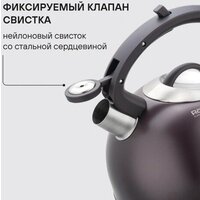 Чайник со свистком Rondell Tierno RDS‑1900 - Превью изображения №4 — Интернет-магазин Time-Shop