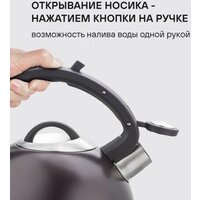 Чайник со свистком Rondell Tierno RDS‑1900 - Превью изображения №3 — Интернет-магазин Time-Shop
