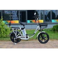 Электровелосипед Terax ROXY NS010 - Превью изображения №2 — Интернет-магазин Time-Shop