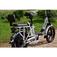 Электровелосипед Terax ROXY NS010 - Превью изображения №6 — Интернет-магазин Time-Shop