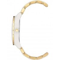 Наручные часы Anne Klein 3910WTGB - Превью изображения №2 — Интернет-магазин Time-Shop