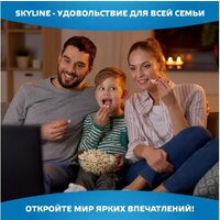 Телевизор Skyline 40LST6385 - Превью изображения №8 — Интернет-магазин Time-Shop