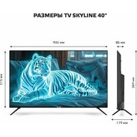 Телевизор Skyline 40LST6385 - Превью изображения №10 — Интернет-магазин Time-Shop