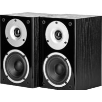 WILSON Raptor Mini (черный)