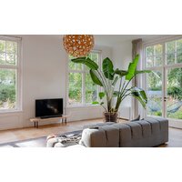 Саундбар Harman/Kardon Enchant 900 - Превью изображения №10 — Интернет-магазин Time-Shop