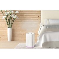 Увлажнитель воздуха Concept ZV2010 - Превью изображения №4 — Интернет-магазин Time-Shop