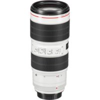 Объектив Canon EF 70-200mm f/2.8L IS III USM - Превью изображения №7 — Интернет-магазин Time-Shop