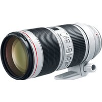 Объектив Canon EF 70-200mm f/2.8L IS III USM - Превью изображения №2 — Интернет-магазин Time-Shop