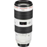 Объектив Canon EF 70-200mm f/2.8L IS III USM - Превью изображения №4 — Интернет-магазин Time-Shop