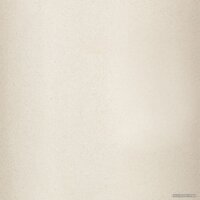 Кухонная мойка Wisent 580-30WQ (с сифоном GER011) - Превью изображения №6 — Интернет-магазин Time-Shop