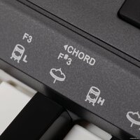 Синтезатор Rockdale Premiere 2 - Превью изображения №15 — Интернет-магазин Time-Shop