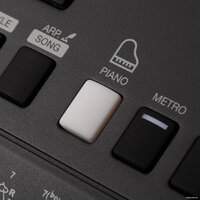 Синтезатор Rockdale Premiere 2 - Превью изображения №13 — Интернет-магазин Time-Shop