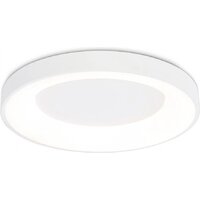 Припотолочная люстра Ambrella light Orbital FZ1401 WH (белый) - Превью изображения №2 — Интернет-магазин Time-Shop