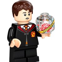 Конструктор LEGO Harry Potter 76395 Хогвартс: первый урок полетов - Превью изображения №13 — Интернет-магазин Time-Shop