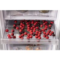 Холодильник Nord (Nordfrost) NRB 151 S - Превью изображения №11 — Интернет-магазин Time-Shop